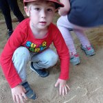phoca_thumb_m_vp tvrt den 130 Fotogalerie